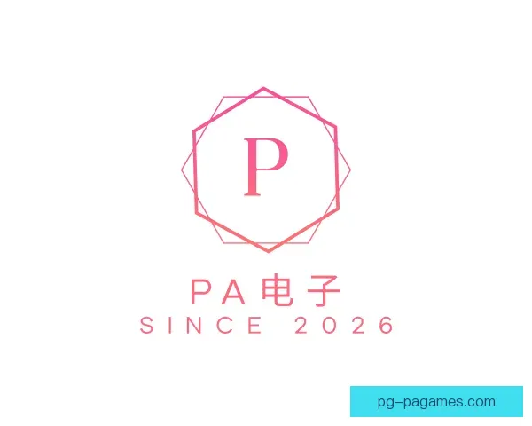 介绍PA电子